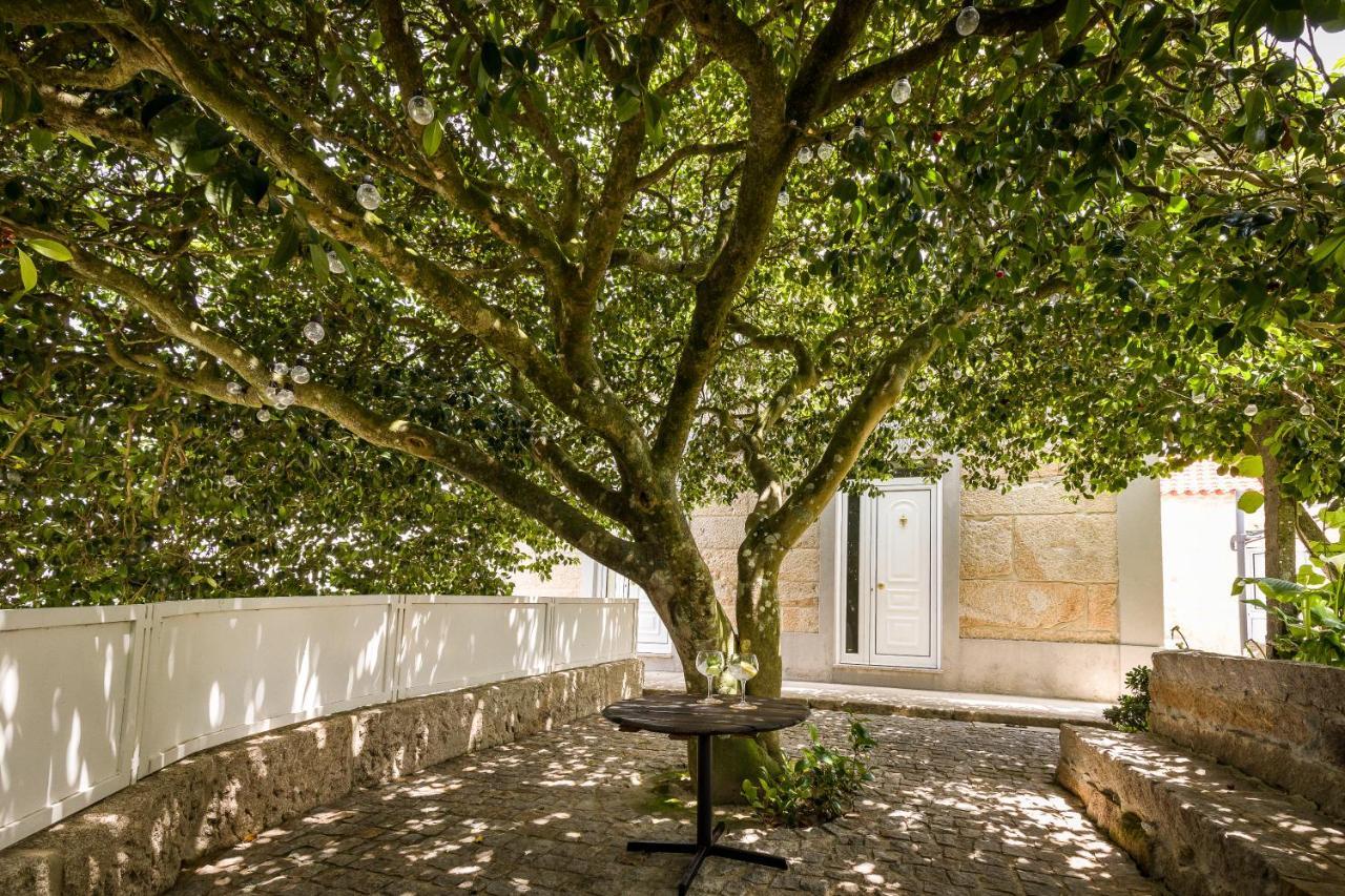 Vila Casa De Ferreira Cinfães Exteriér fotografie